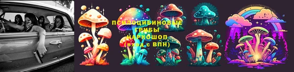 наркотики Алексин