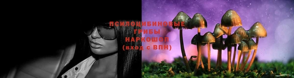 спиды Алексеевка