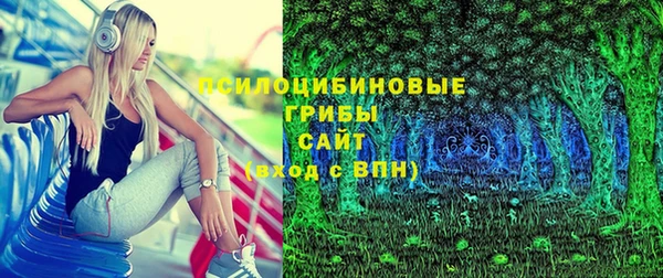 ГАЛЛЮЦИНОГЕННЫЕ ГРИБЫ Алзамай