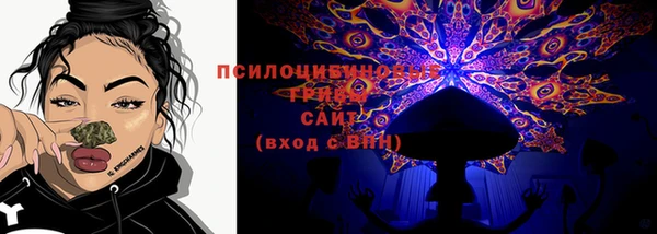 ГАЛЛЮЦИНОГЕННЫЕ ГРИБЫ Алзамай